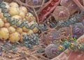 Implicancias Epigenéticas en las Patologías Asociadas a la Obesidad, Una Revisión Clínica