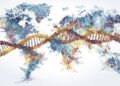 Una investigación dirigida por Stanford Medicine vincula la diversidad molecular y microbiana humana con la geografía y la etnia