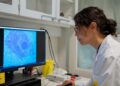 Las nanopartículas inyectables hacen que las retinas ciegas respondan a la luz