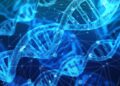 Corrigen con herramientas de edición genética un error oculto en el ADN que impide producir una proteína esencial