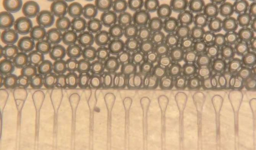 8271_higados-satelite-inyectables