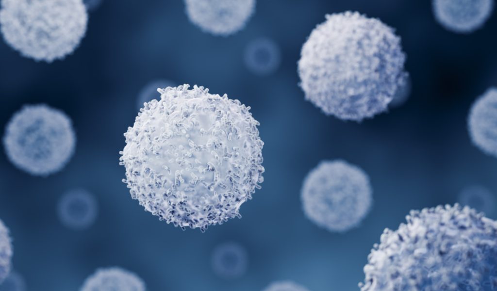 t_cells